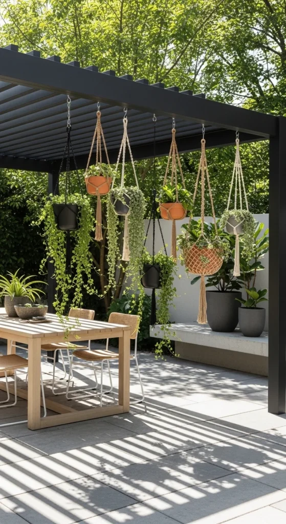 Hanging Plants for Vertical Interest